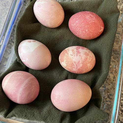 pink easter eggs, dyed with beet juice
