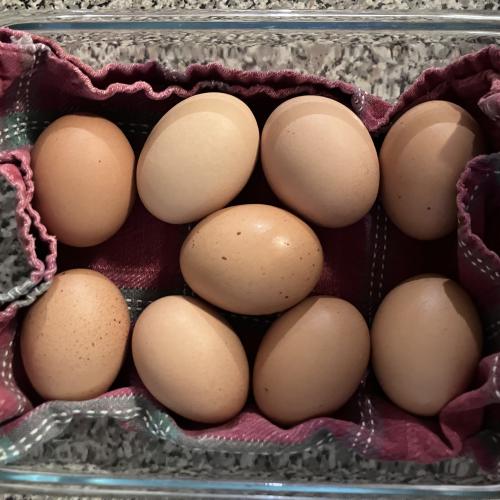 Hard boiled eggs